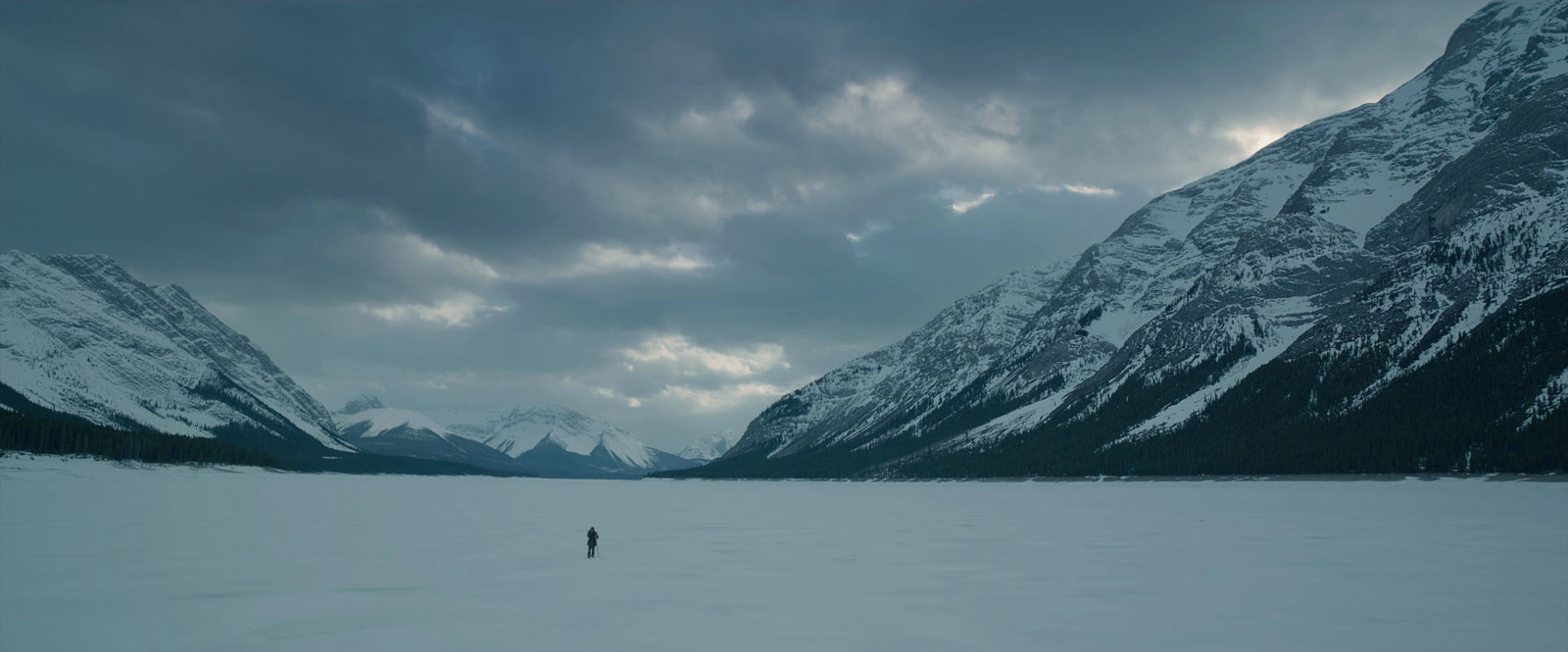 The Revenant - Copyright Twentieth Century Fox France